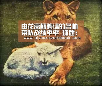 申花高薪聘请的名帅带队战绩平平 球迷:他带队战绩还不如吴金贵‘爱游戏电竞’(图1) 爱游戏娱乐