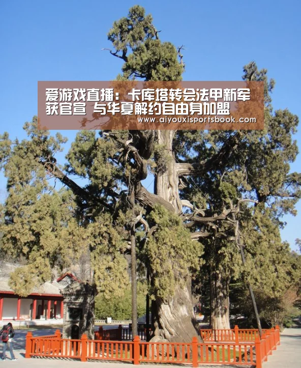 爱游戏直播:卡库塔转会法甲新军获官宣 与华夏解约自由身加盟(图1) 爱游戏娱乐