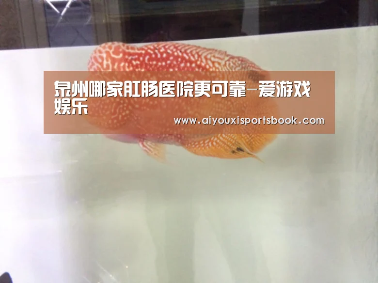 泉州哪家肛肠医院更可靠-爱游戏娱乐(图2) 爱游戏直播