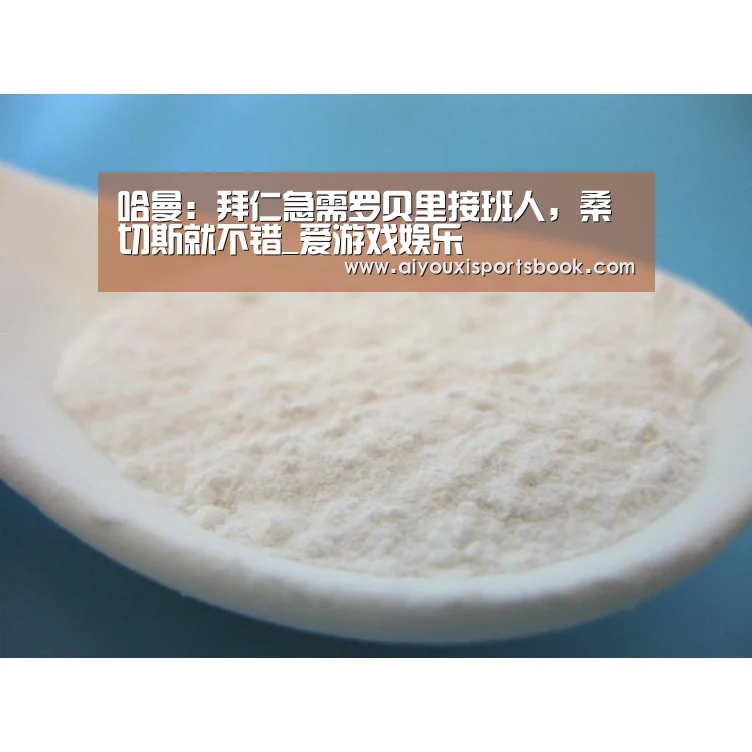 哈曼:拜仁急需罗贝里接班人,桑切斯就不错_爱游戏娱乐(图3) 爱游戏APP